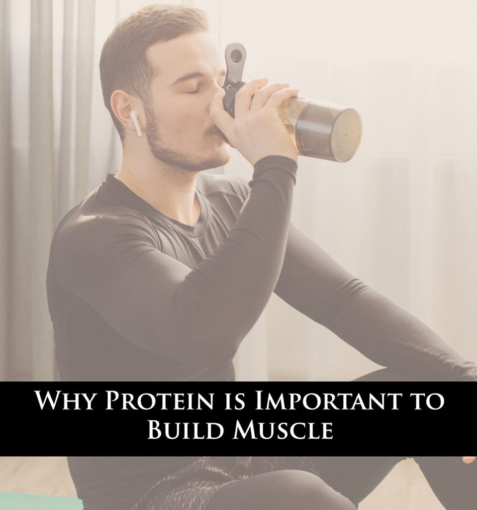 Why Protein is Important to Build Muscle: Understanding the Role of Protein in Muscle Growth